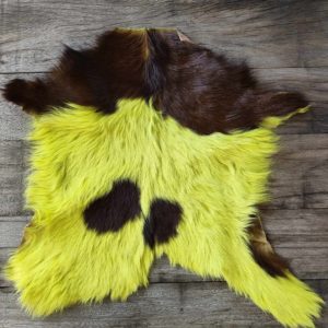 Chevreau Jaune / Vert