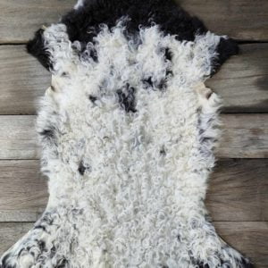 Agneau du Béarn Noir et Blanc