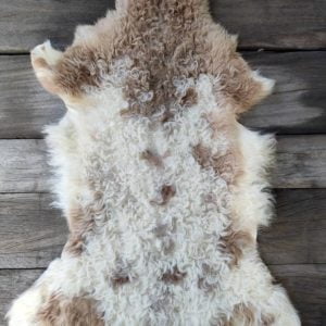 Agneau du Béarn Marron et Blanc