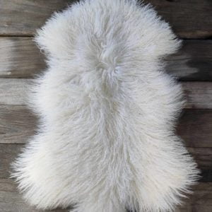 Agneau du Tibet Blanc