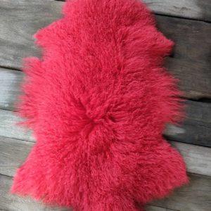 Agneau du Tibet Rouge