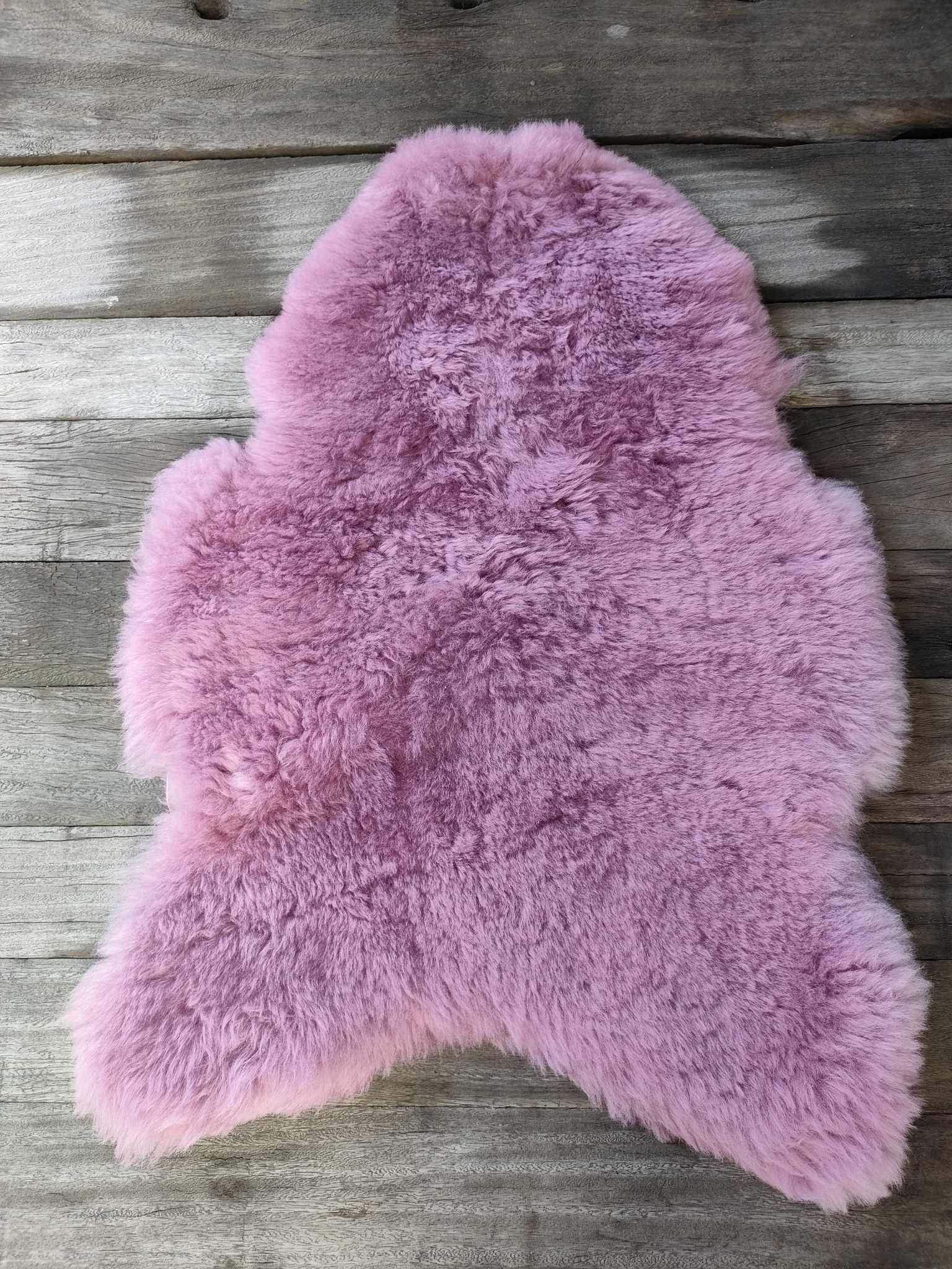 358468057_231983996341758_6523429624440492234_n