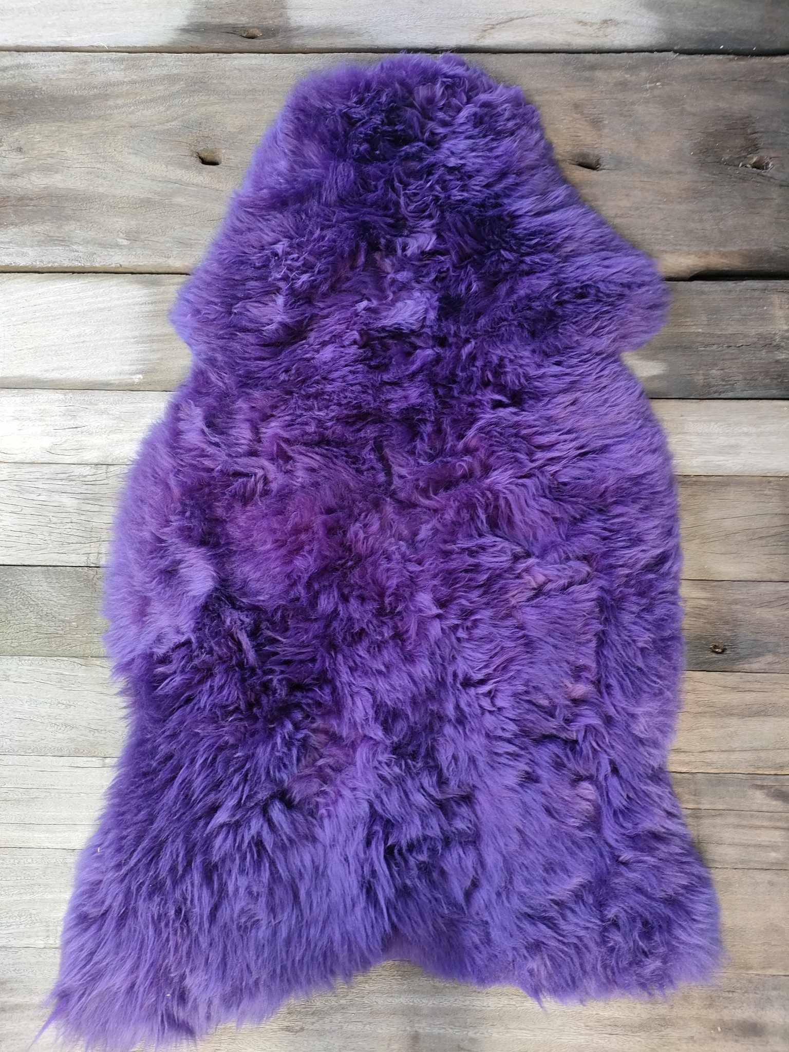 358644996_1328604957735592_3562599767292350299_n