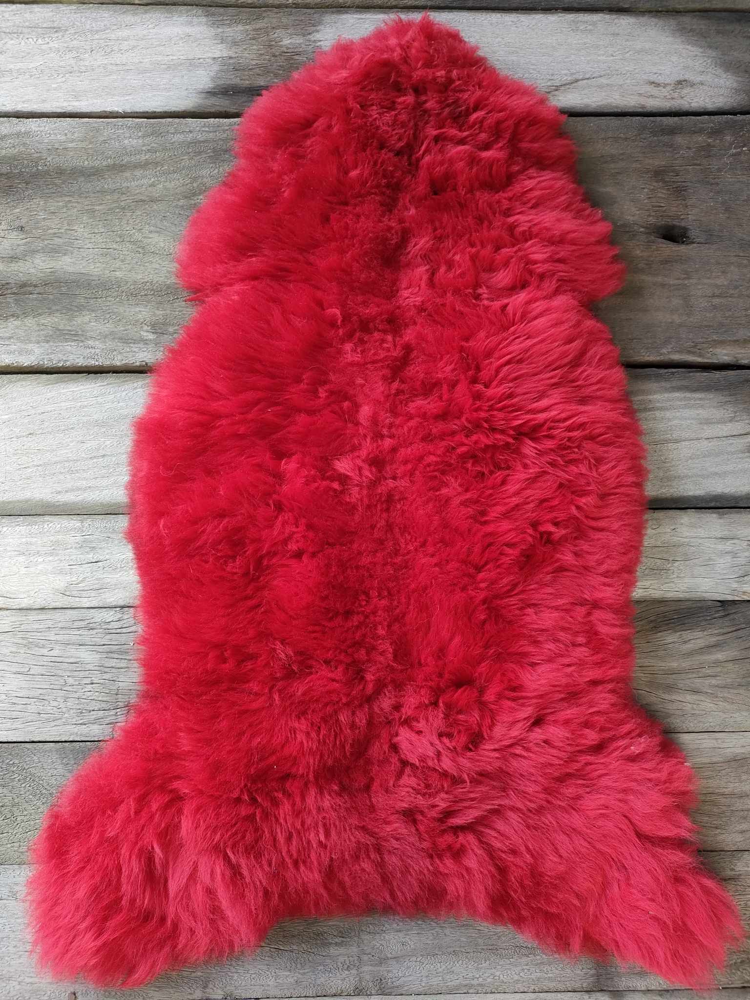 358664049_800520874913118_6818634709972733647_n