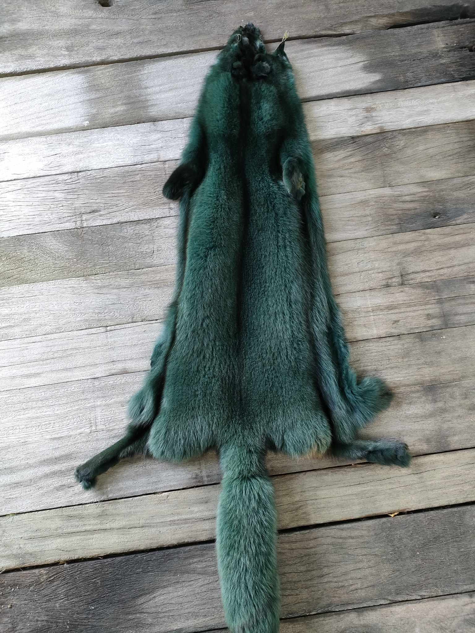 358677976_249766371141464_183469899965878380_n