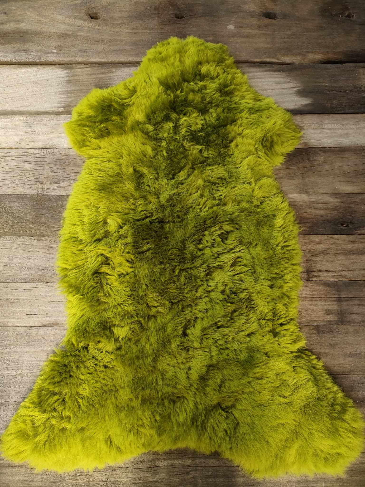 358780404_970028134198560_841759884082972743_n