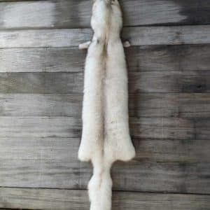 White Fox