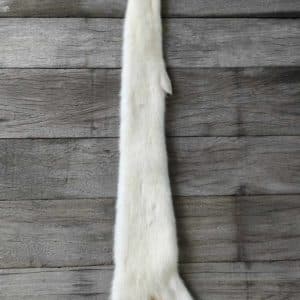 White Mink