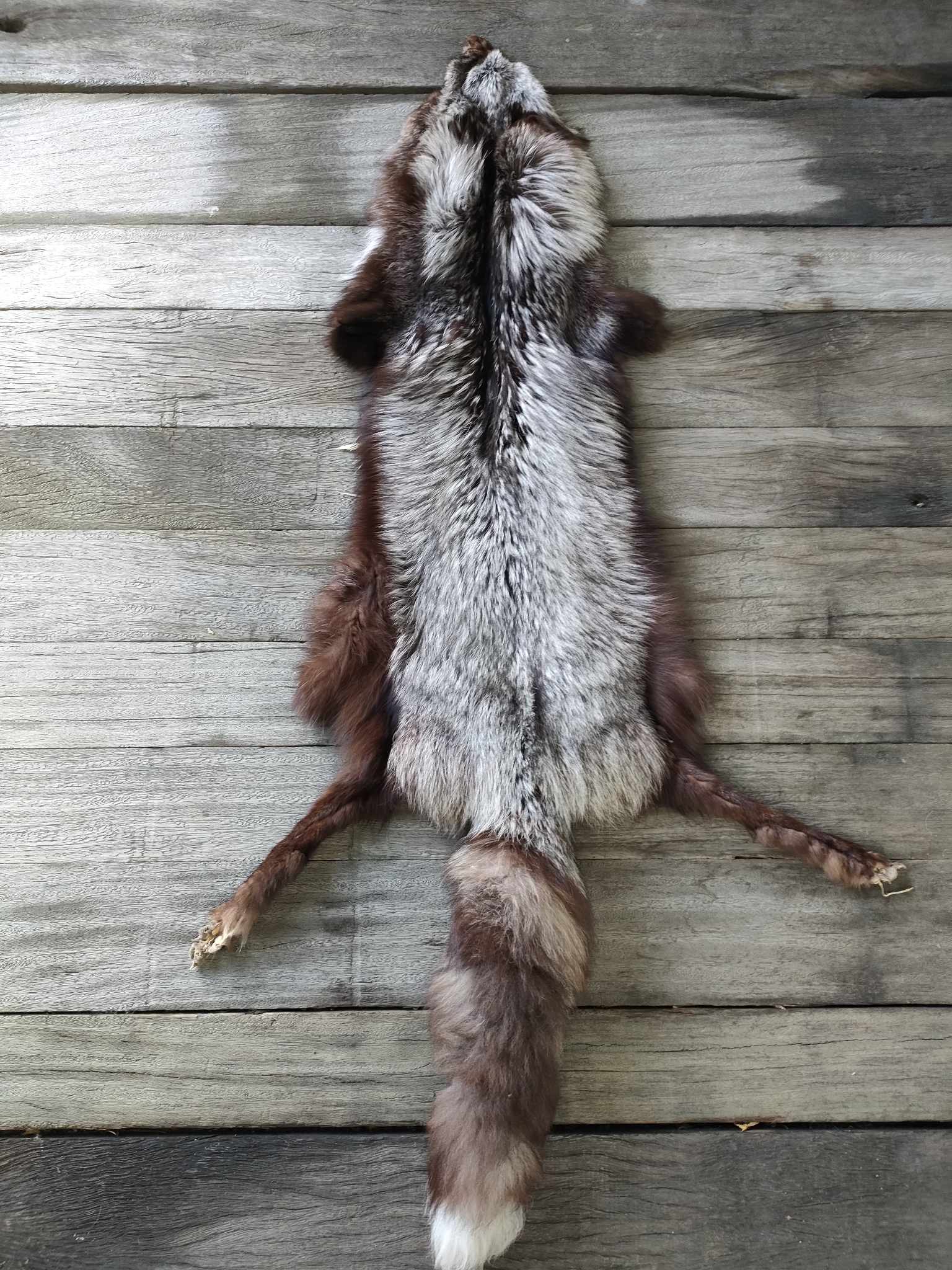 358847030_1040581647301275_4635775801596361352_n