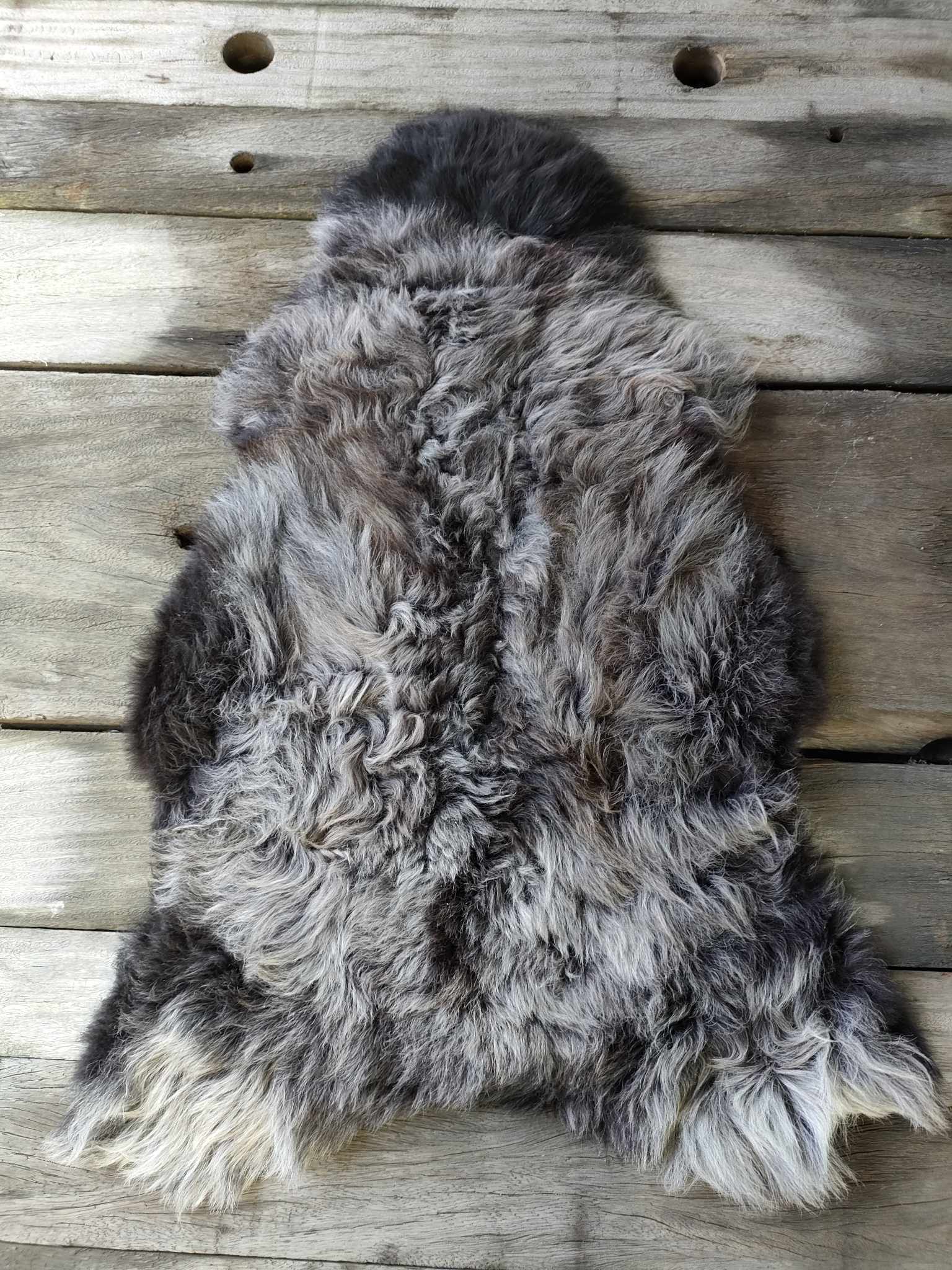 358866328_6458373224275846_7041165986001331552_n