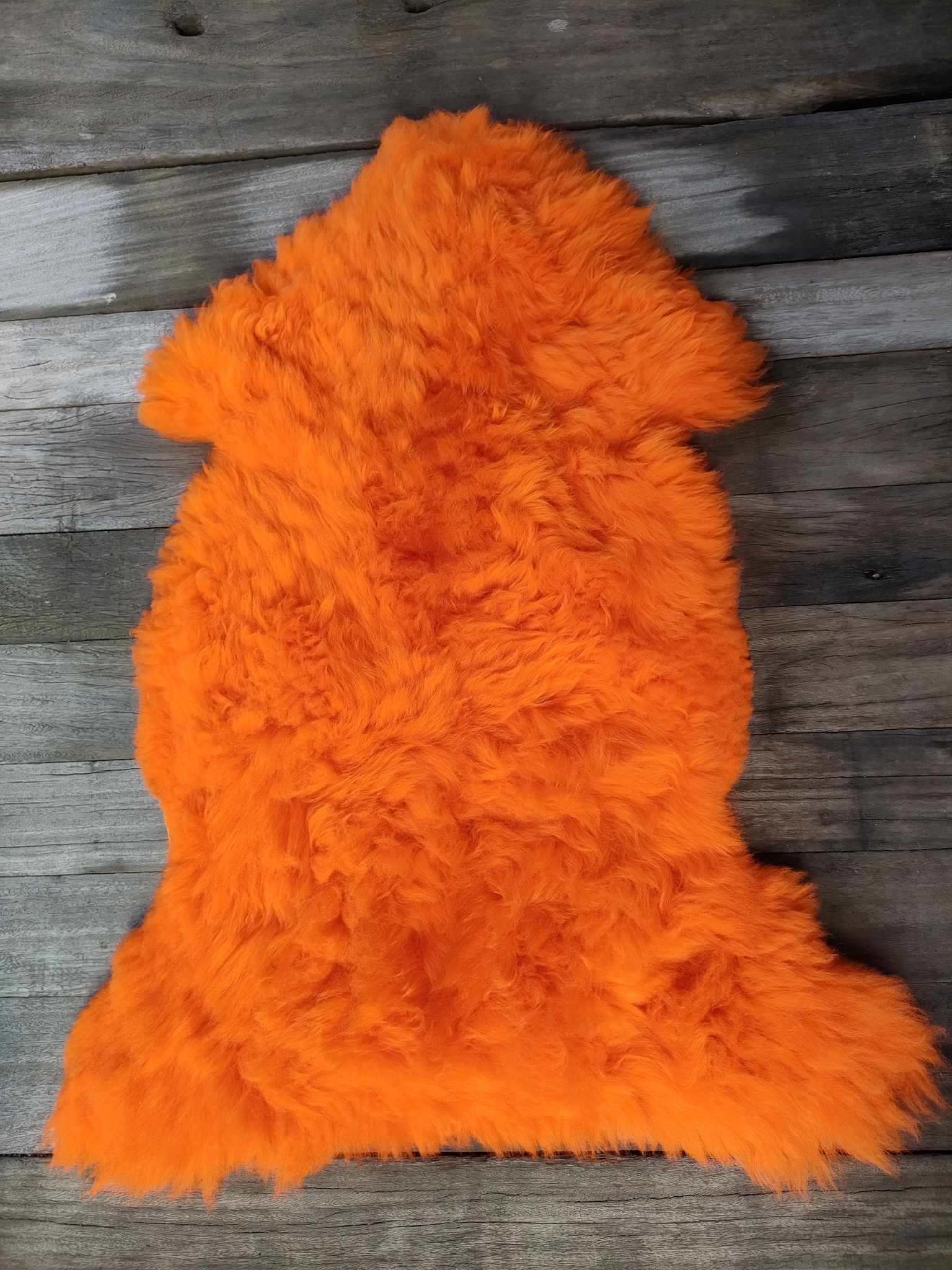 358898922_175165355550238_1421256606403775207_n