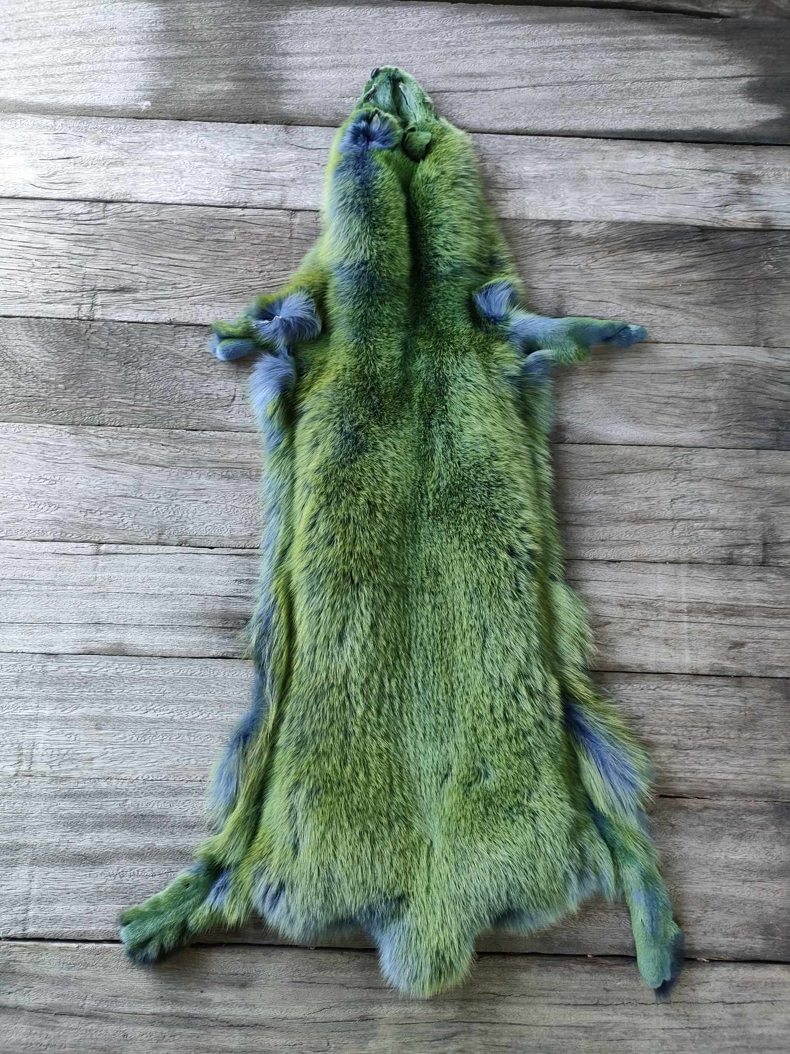 359001515_2498360646987681_6658852097008888432_n