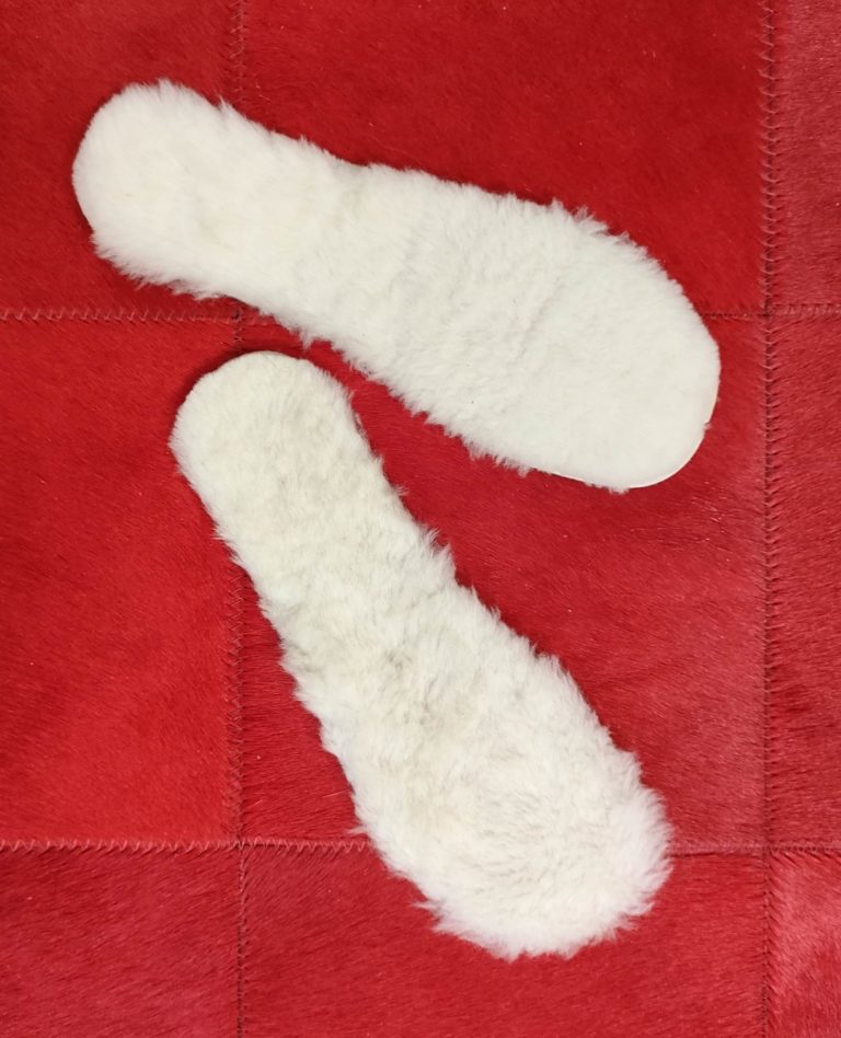 363811348_1510864266326015_287336972435948287_n