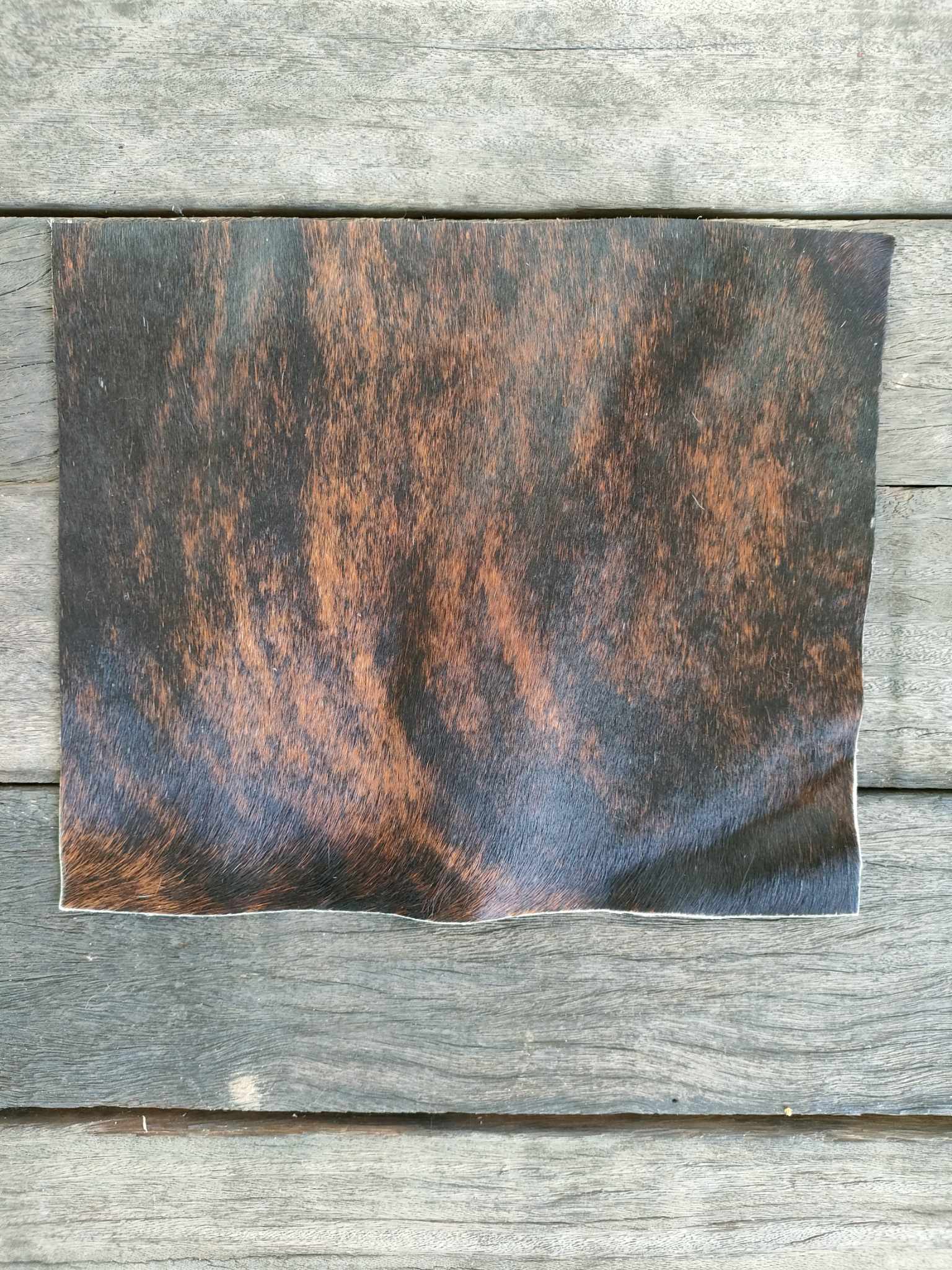 363844080_1960203641024932_301840563599577180_n