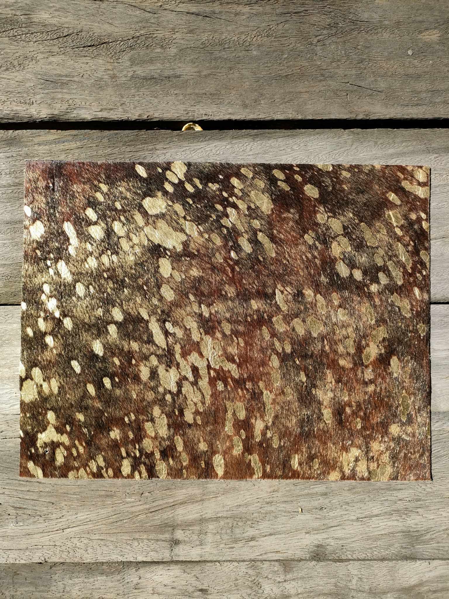 363991526_682559530383924_4743025011831040858_n