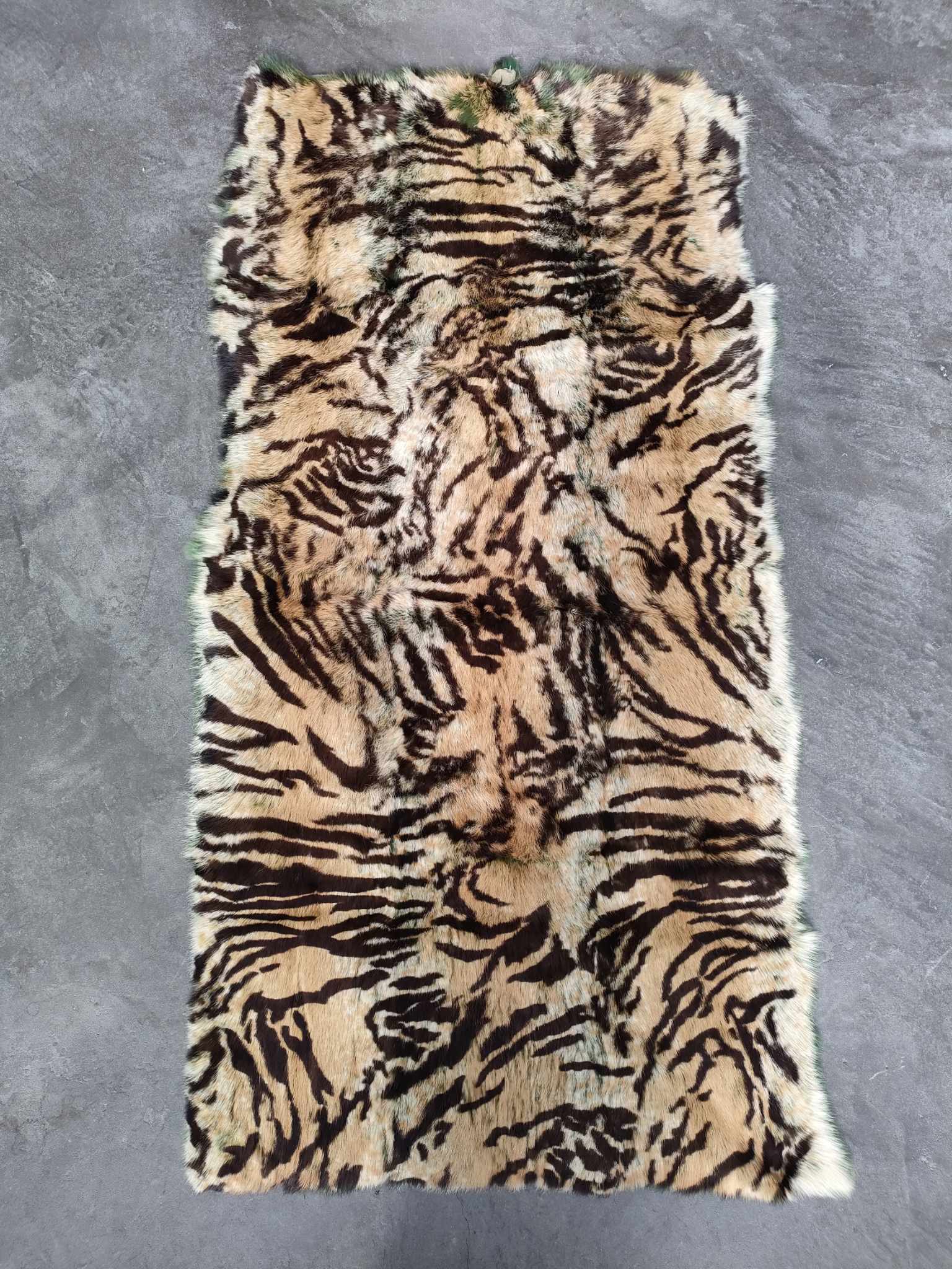 364428567_1299289210792769_2548684711477131291_n