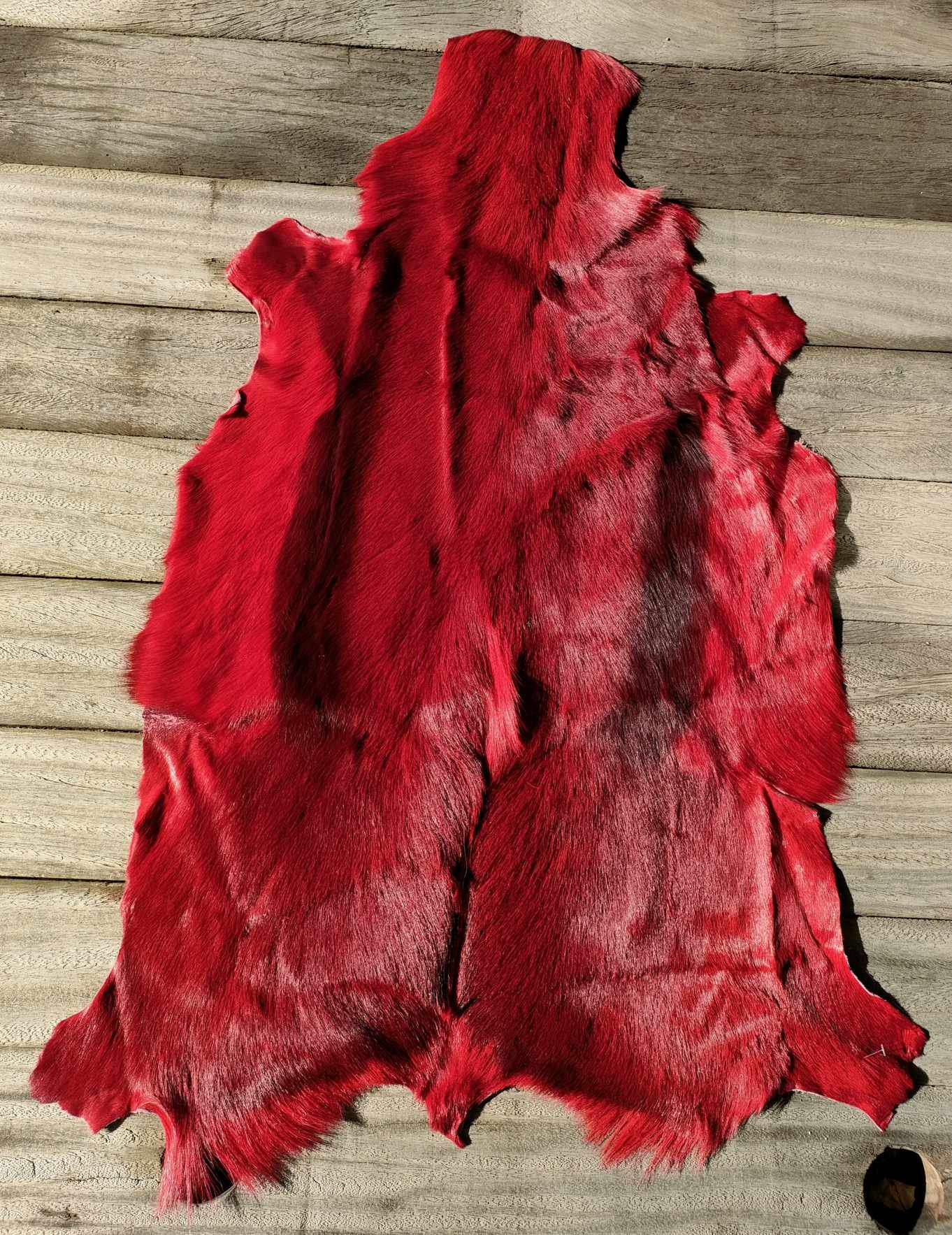 364528224_631187309106587_5733093536133864698_n