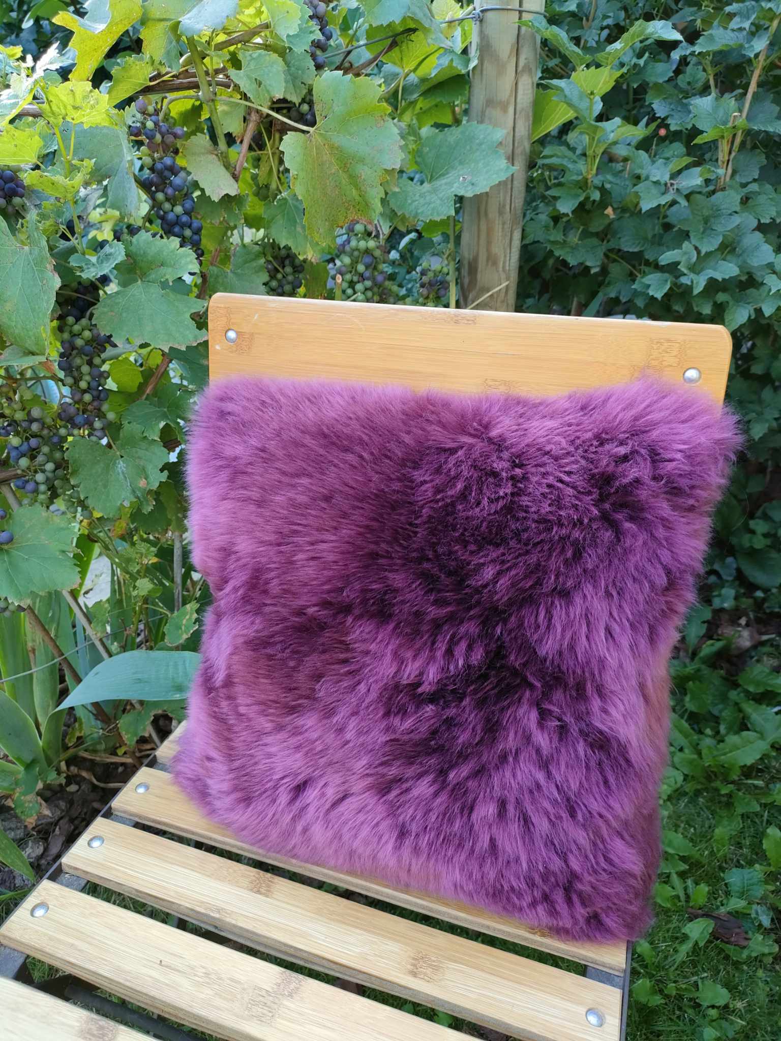 364816450_809230283870555_7786190193362135325_n