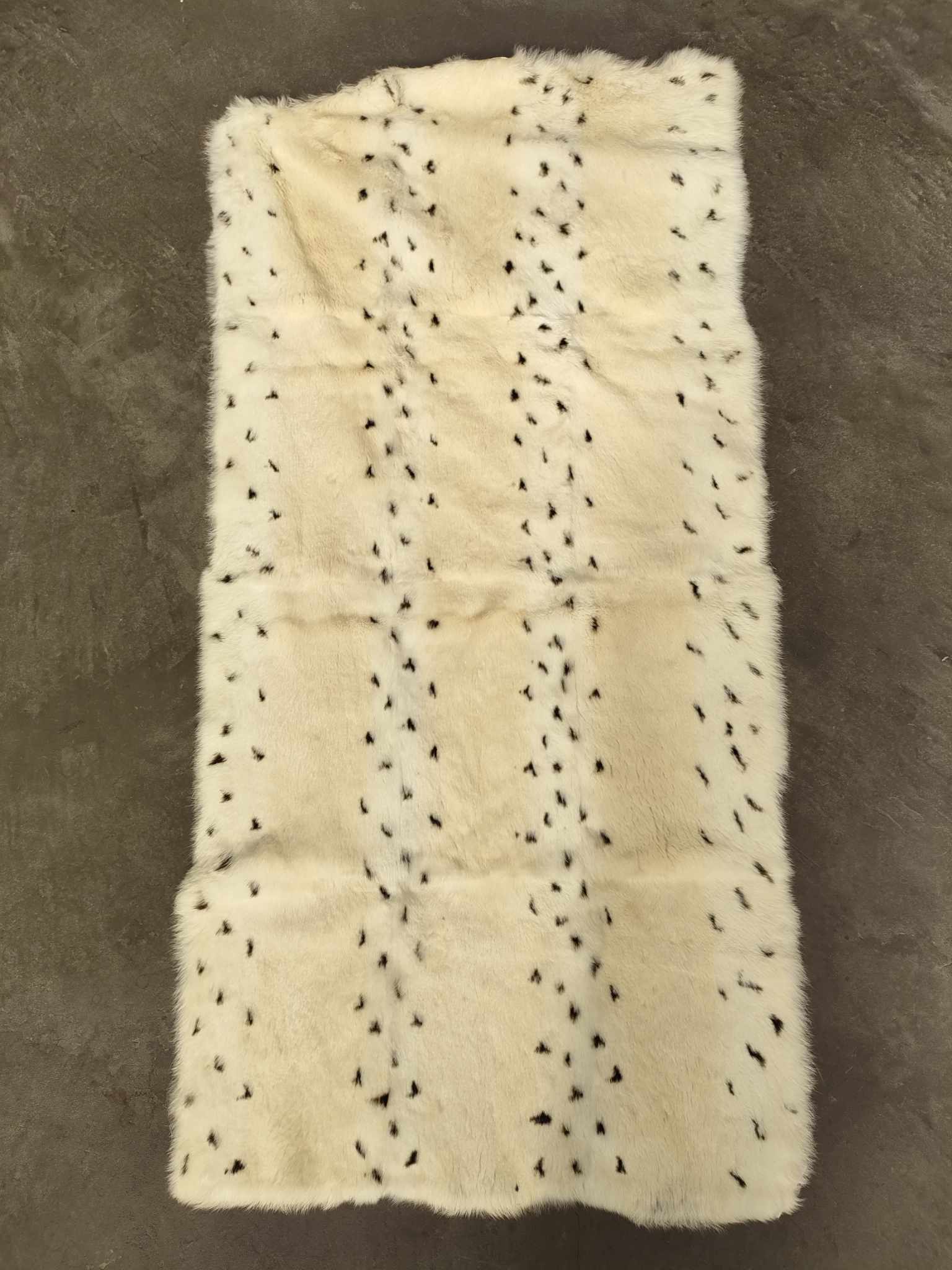 364824325_707690771371056_8366551563784342966_n