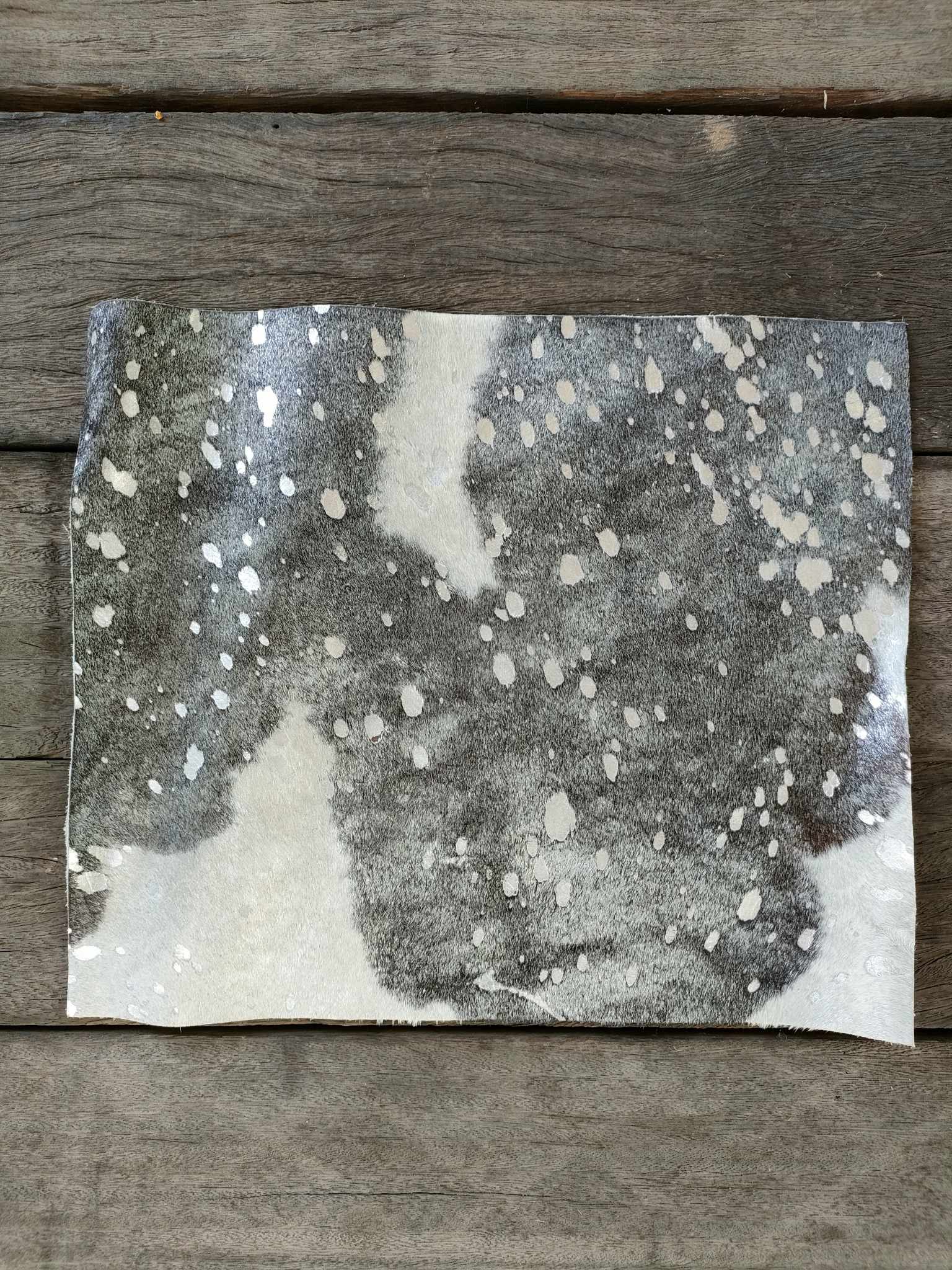 365065776_1042691960439887_7869648218271912486_n