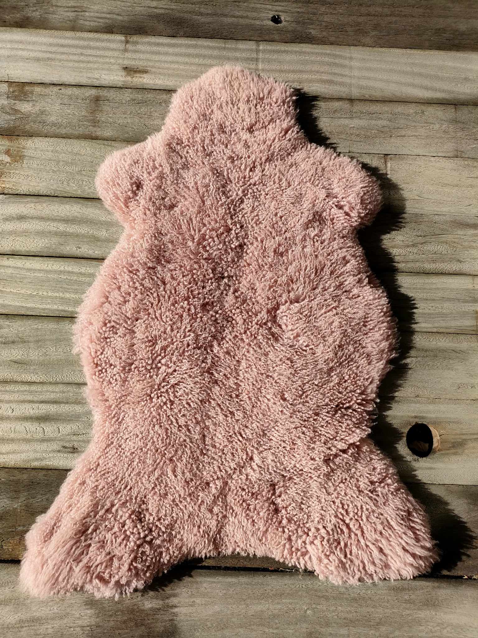 365359143_1892501671151751_232185081390894833_n