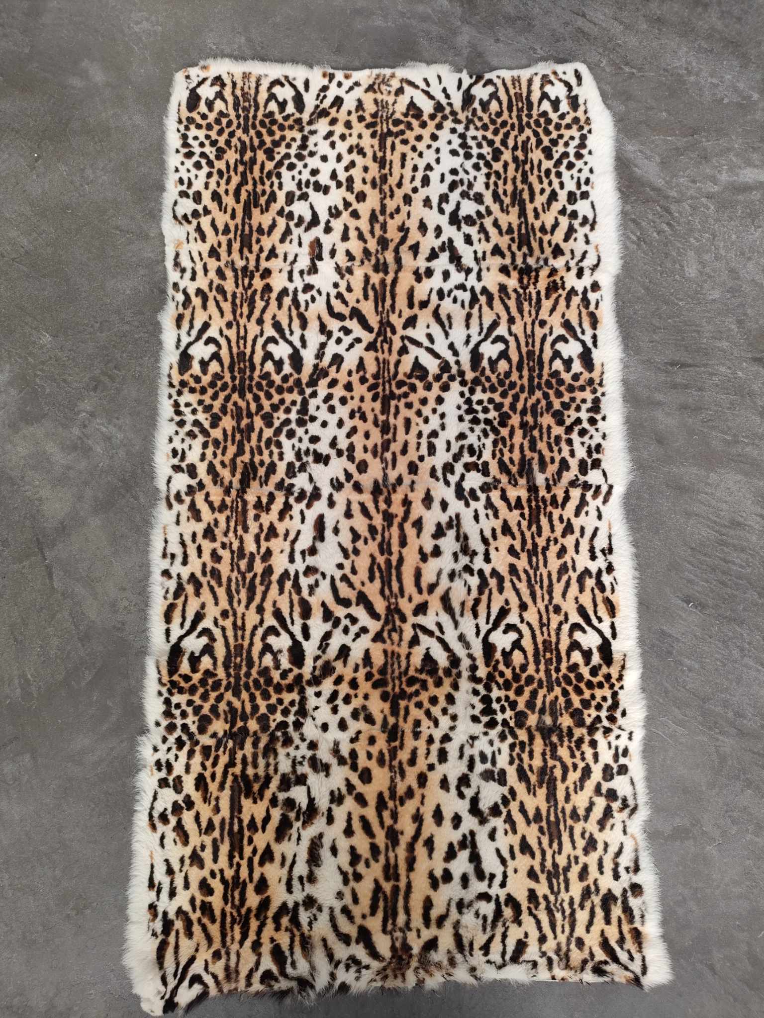 365393908_1476457926503352_167687851314143793_n