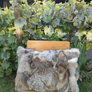 Coussin Renard Virginia