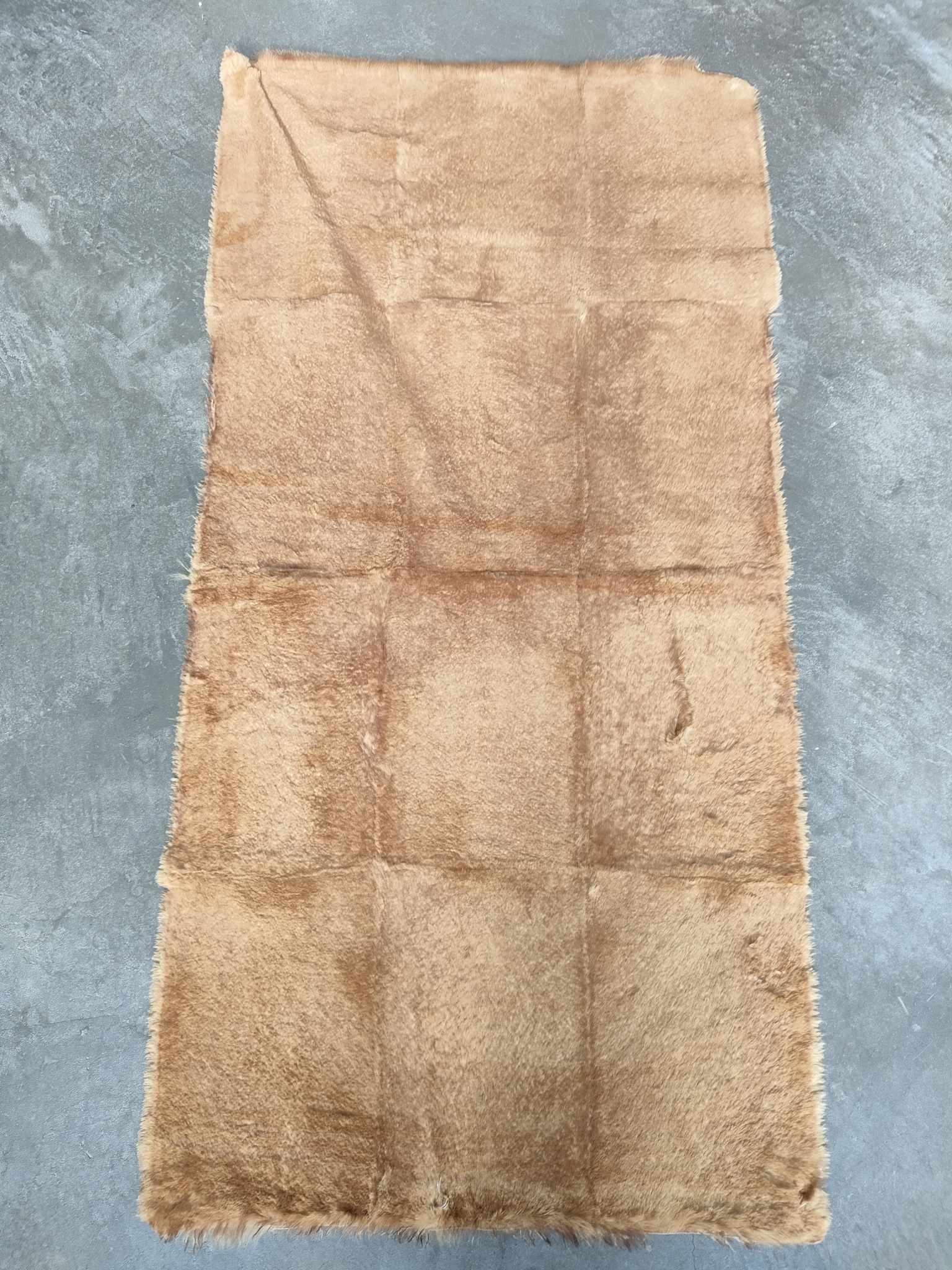 365448439_258884603618590_2322338493867615261_n