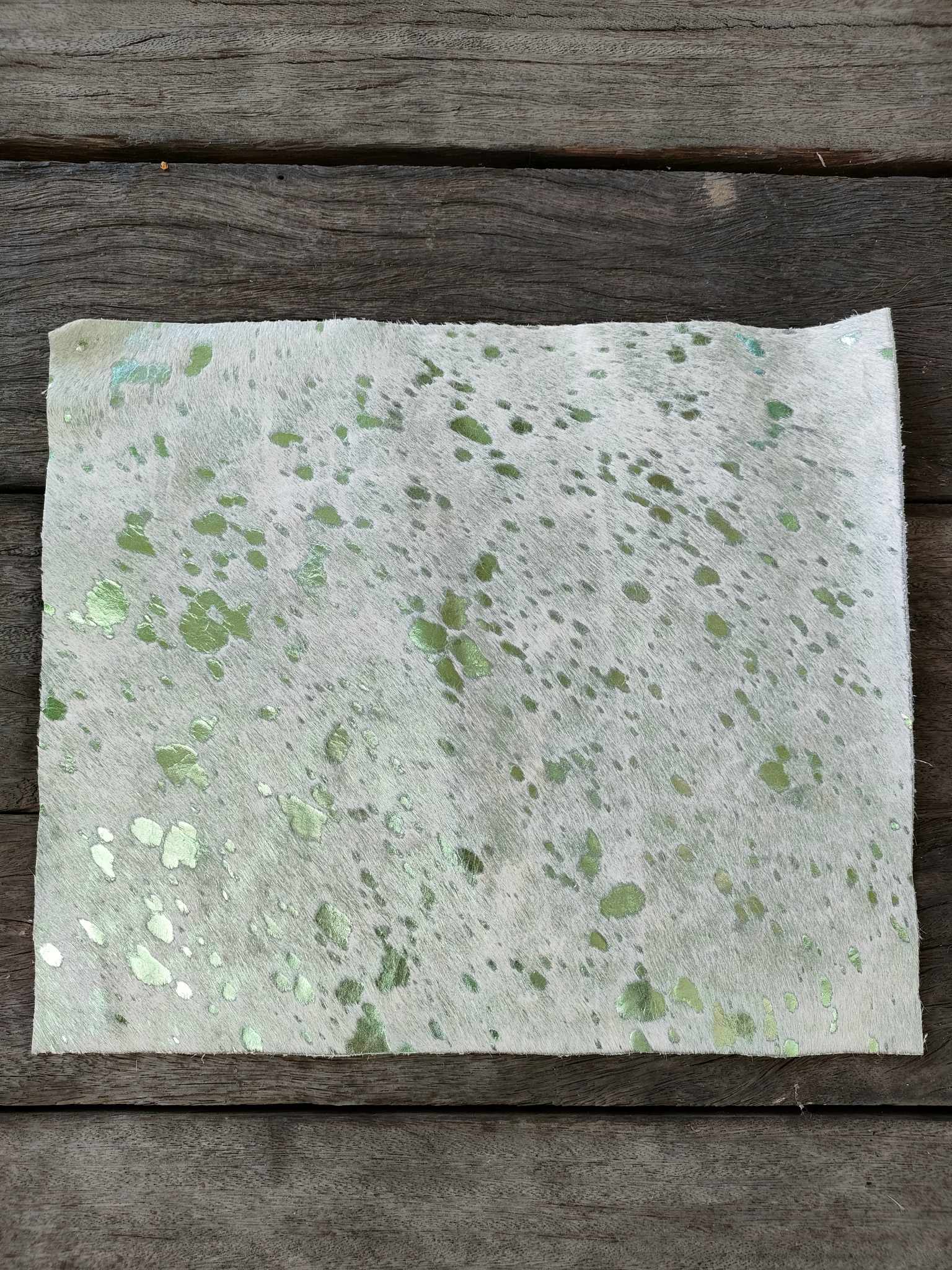 365462006_2010722779268808_1741433871682934870_n