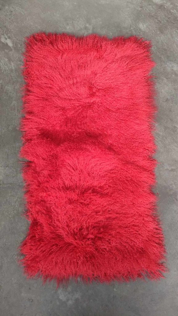 365506045_1225185411489299_6123036211222668304_n