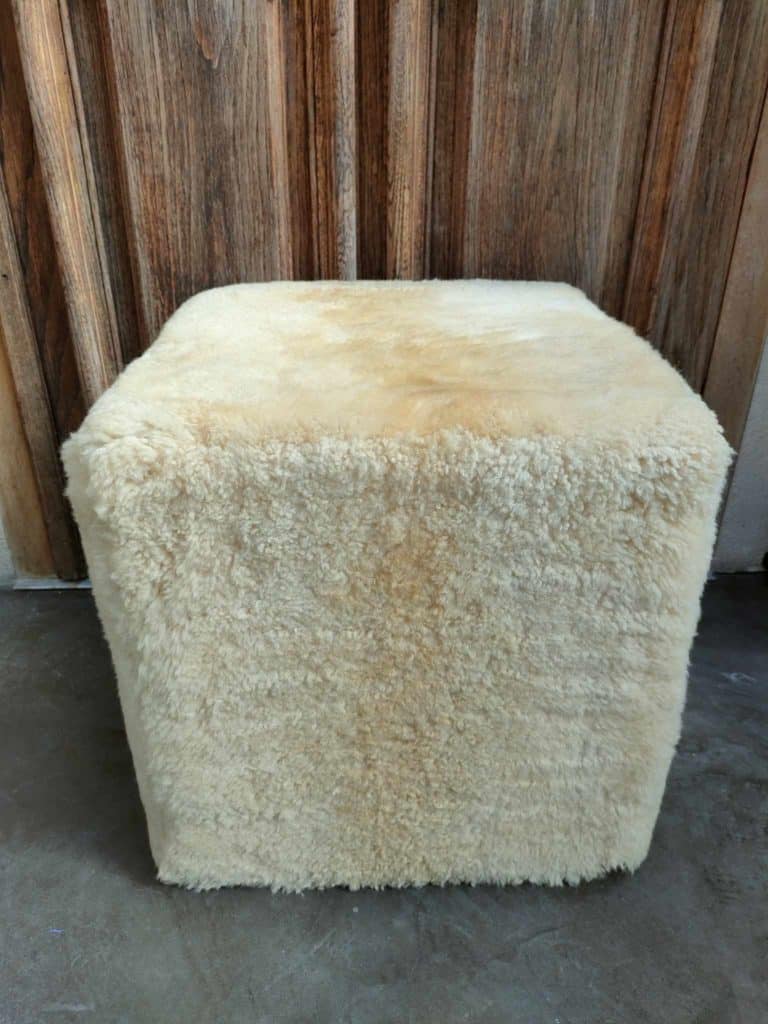 365512914_665846975427375_5162942402494284537_n