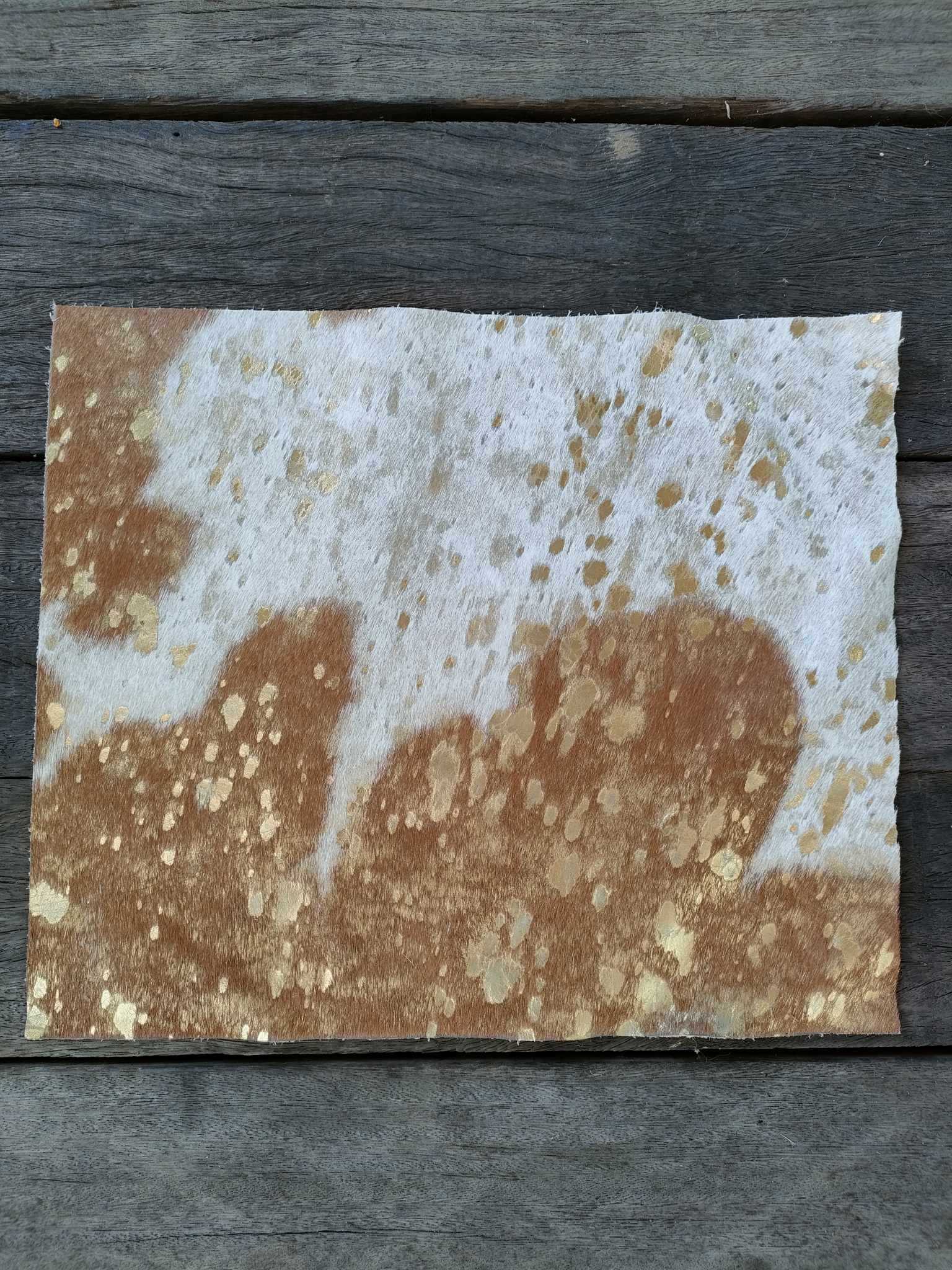 365623937_249004024734598_1596555513233332685_n