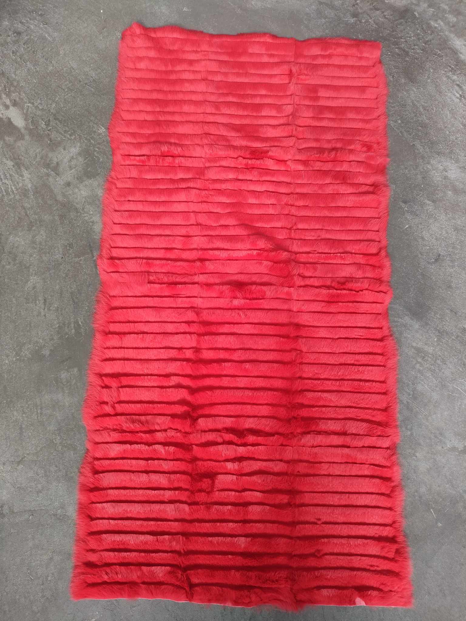 365975280_254154314102223_4262330727309485322_n