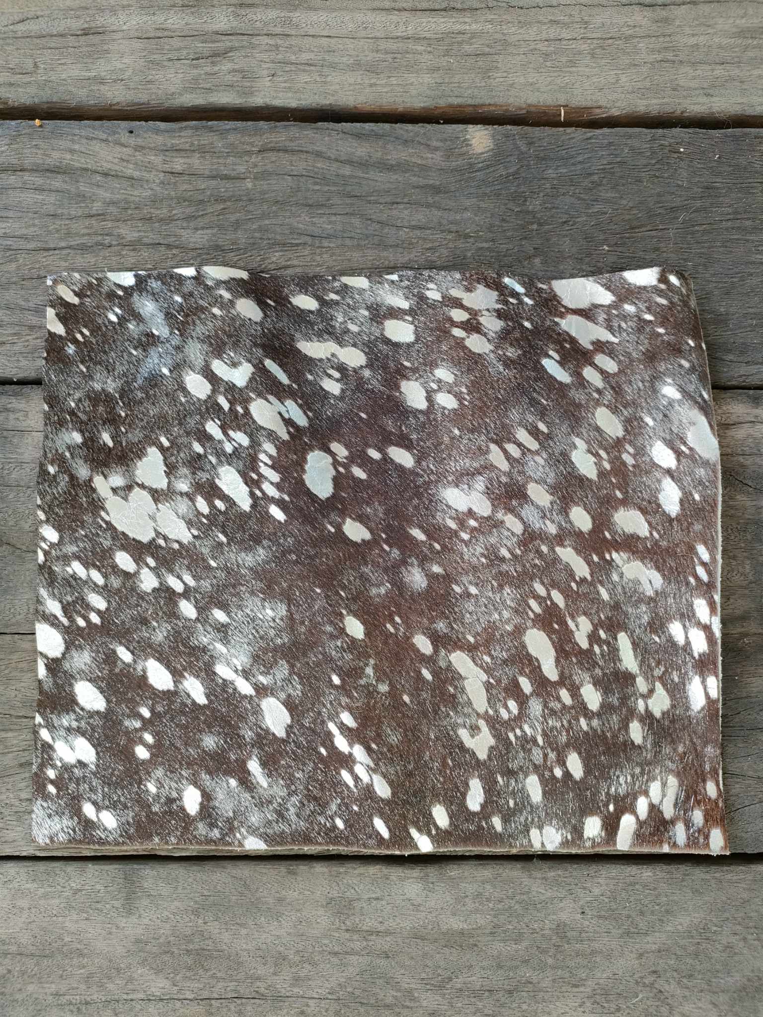 366000443_817320963447758_9080119564152915422_n