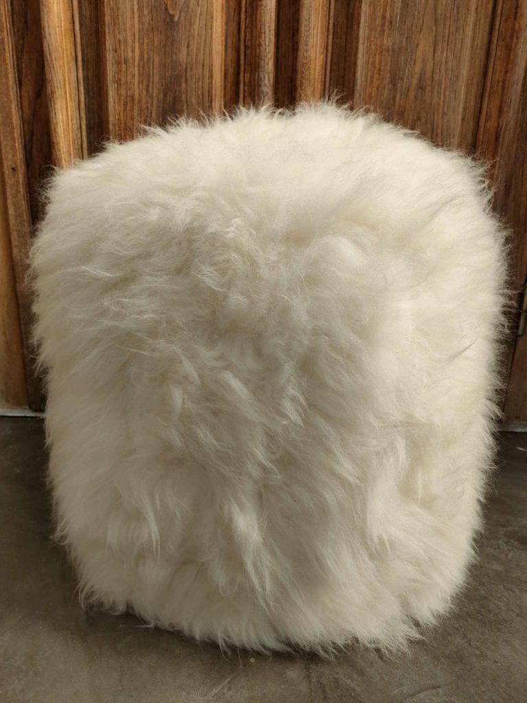 366077210_274295195333747_8549248502524312322_n