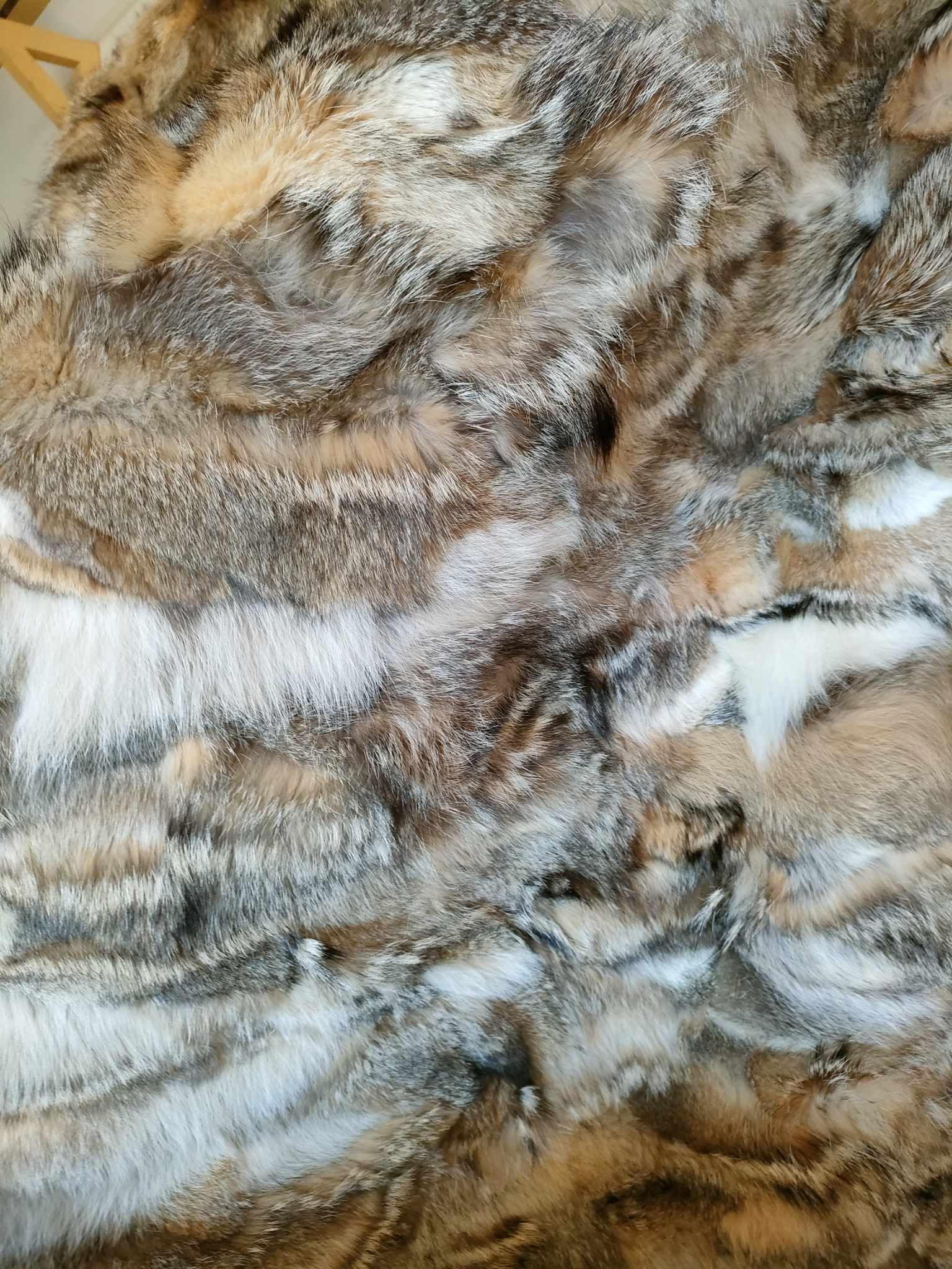 366088454_2358874324312989_866558590676556844_n