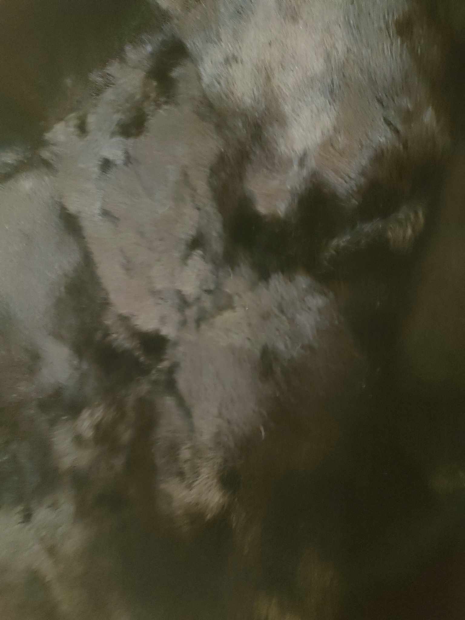 366091065_817526129853950_9156664308039918527_n