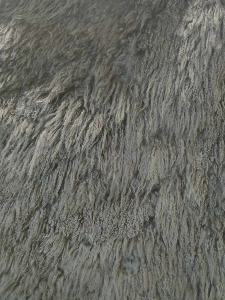 366096088_672389981091440_9050333109744601612_n