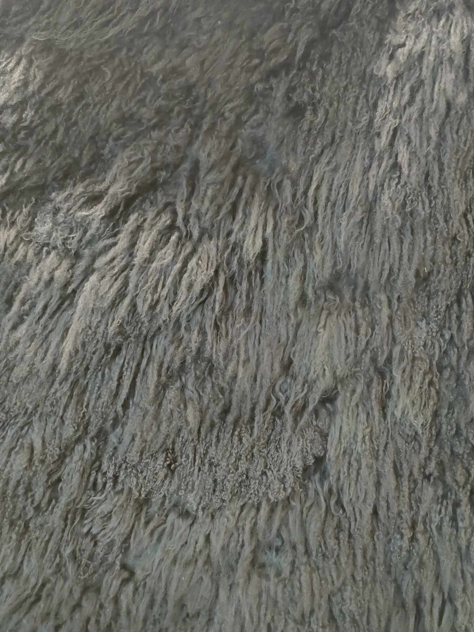 366096088_672389981091440_9050333109744601612_n