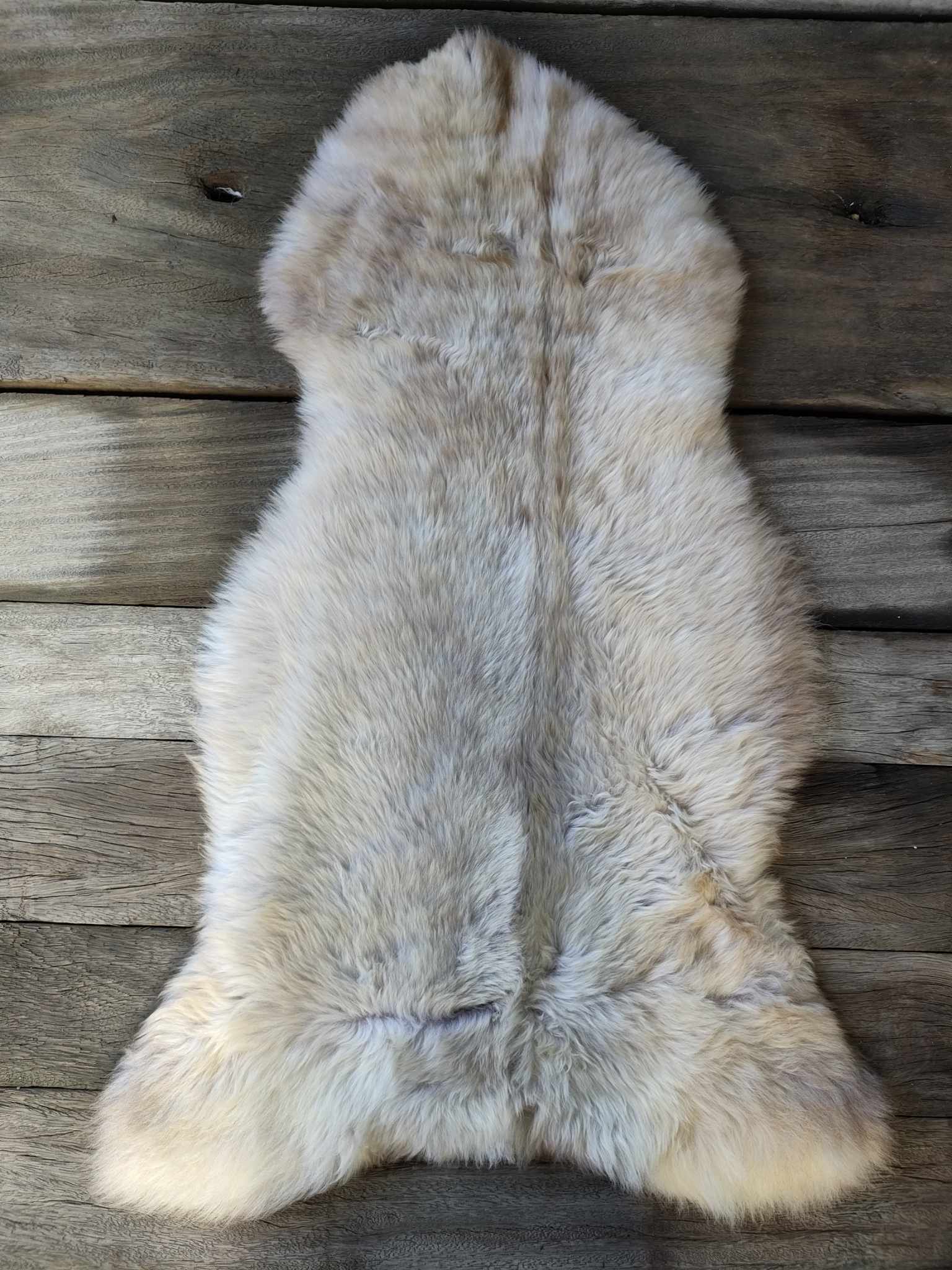 366192280_557058716501826_8422805105847198520_n