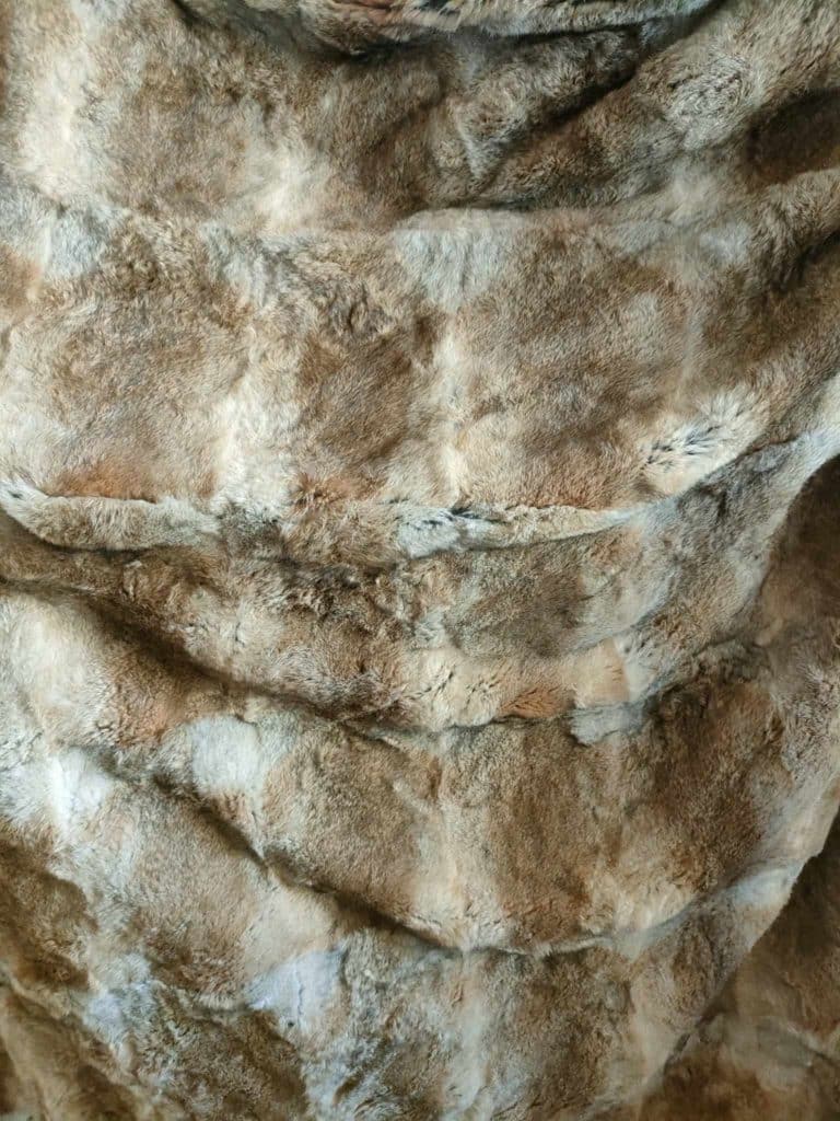 366207229_808249454351708_6617618137364041433_n