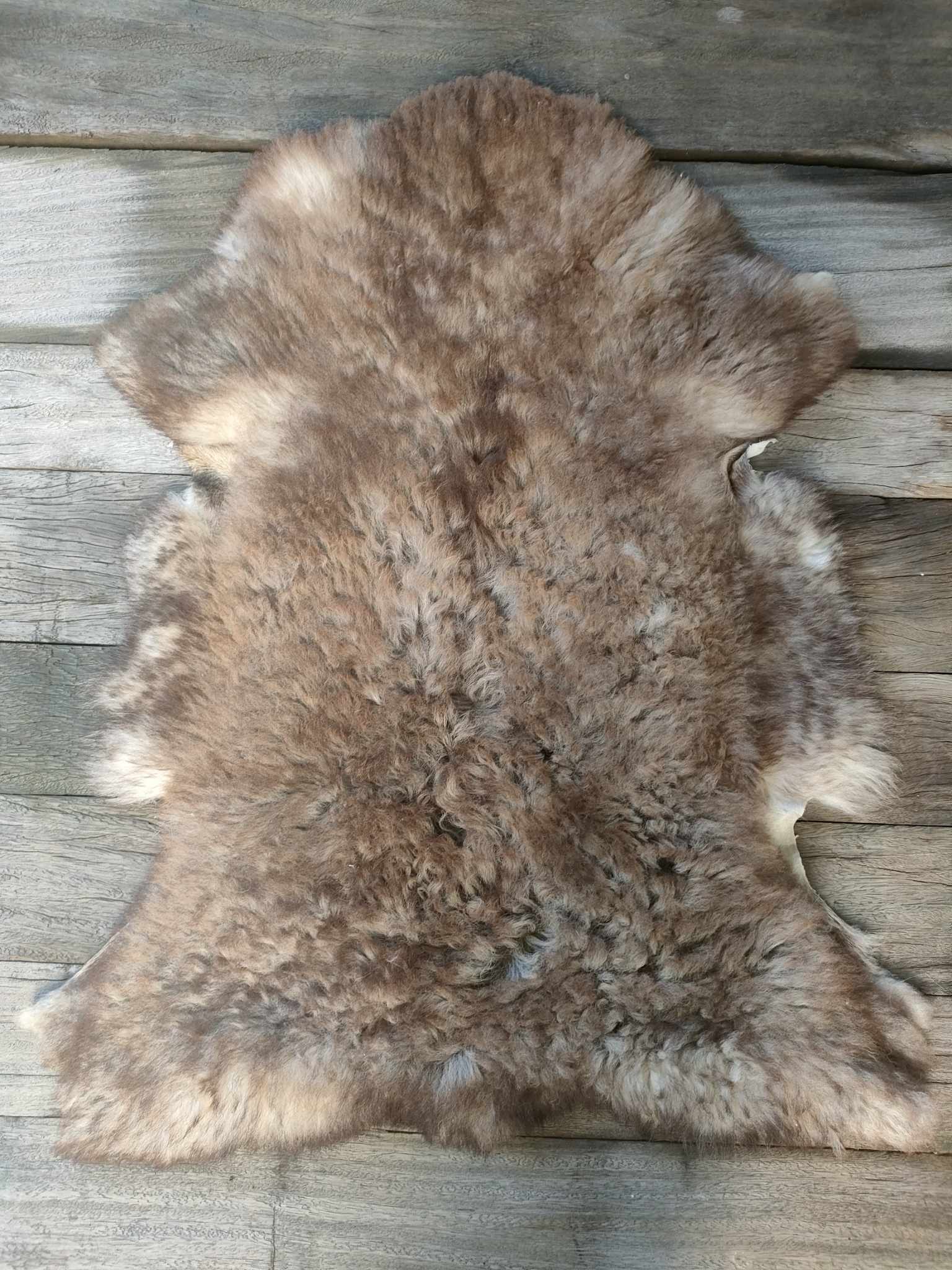 366344727_144048078747856_723409914479657700_n