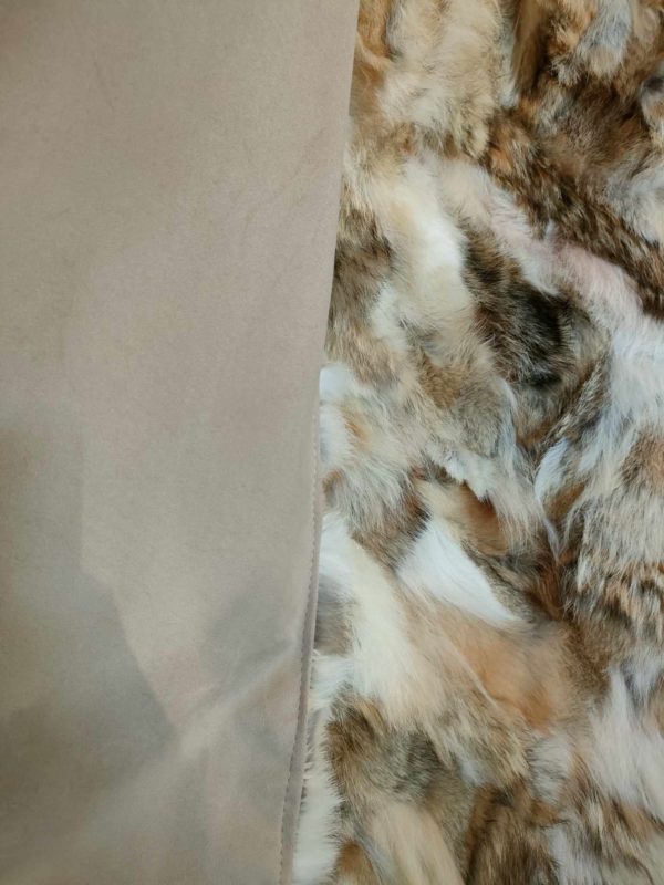 Plaid Coyote – Image 2