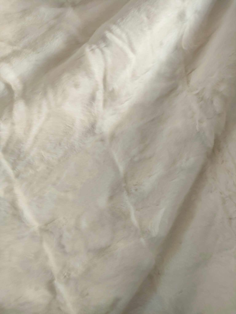 366734176_973354713744097_2558176990361676198_n