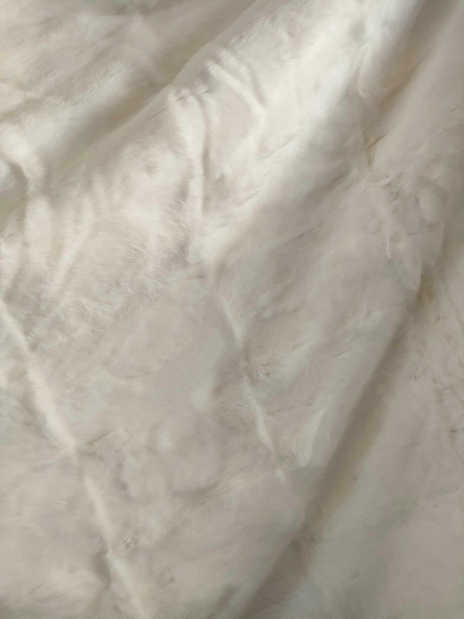 366734176_973354713744097_2558176990361676198_n