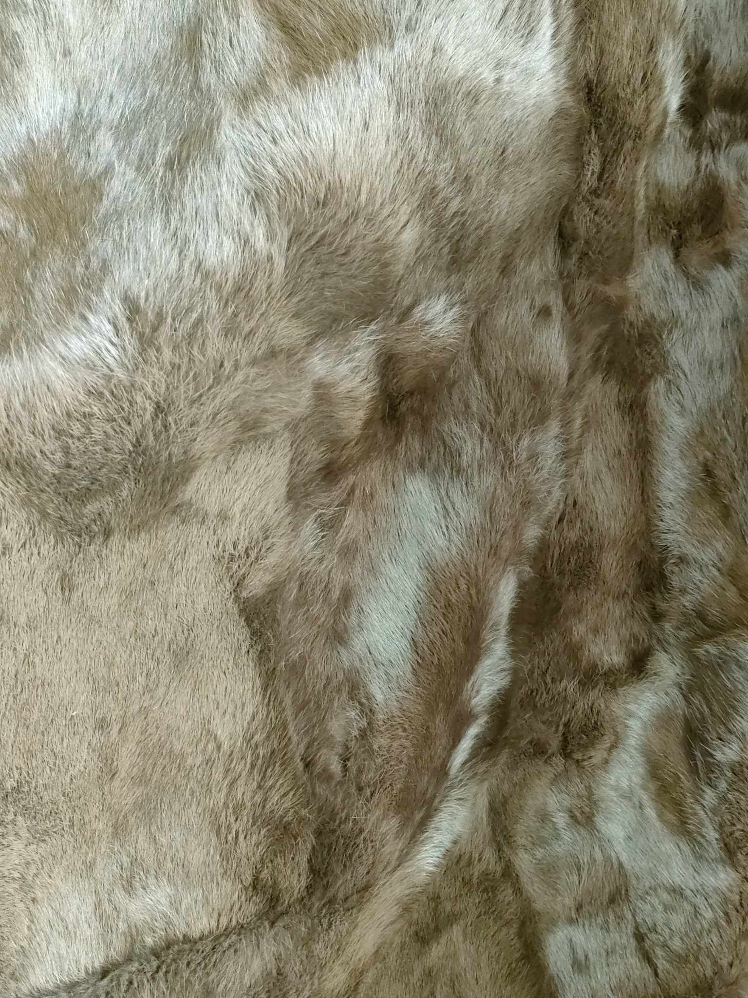 366756370_2311248449082887_2741630535861021313_n