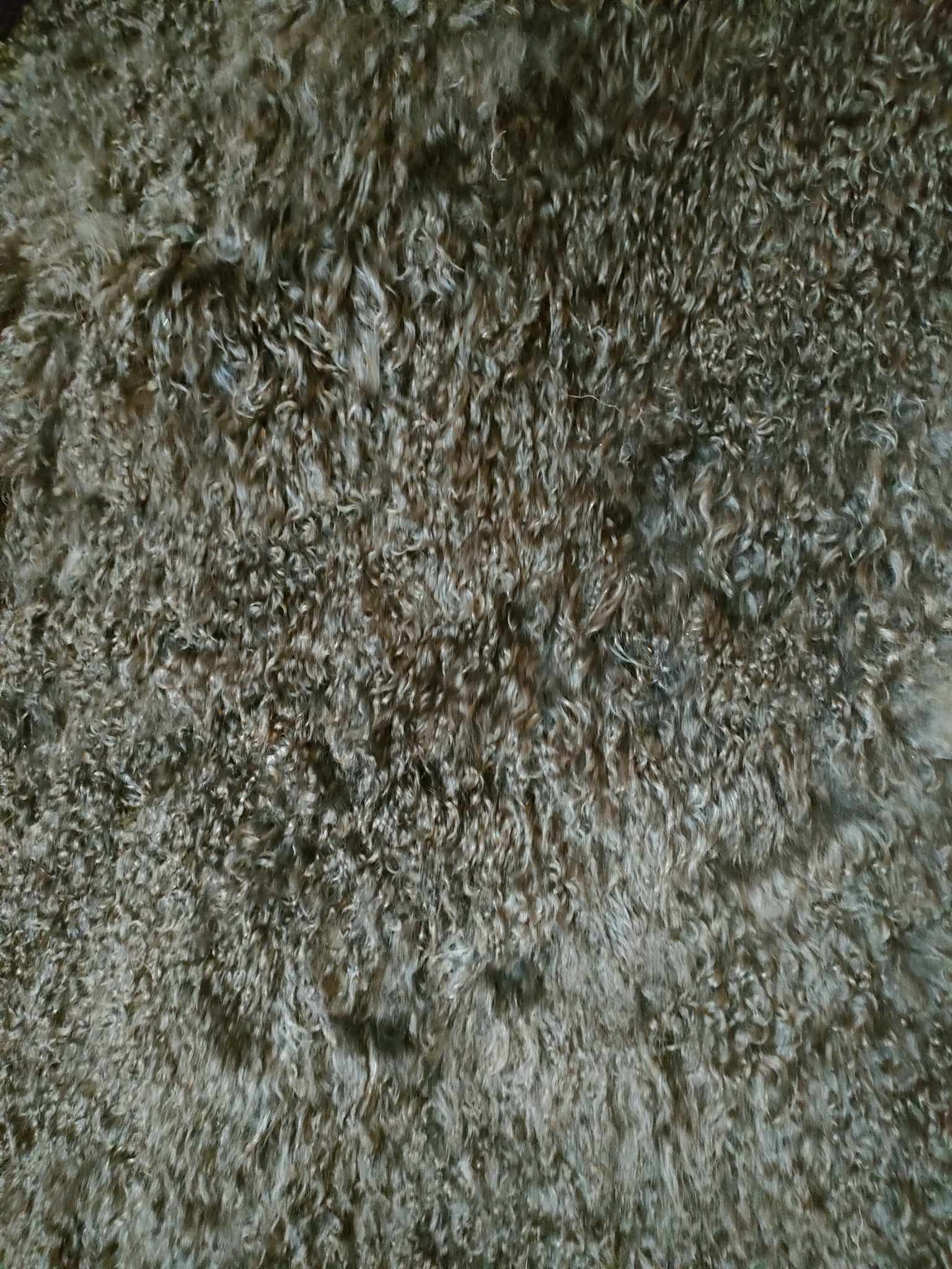 366764358_250167034600002_3186851127800418032_n