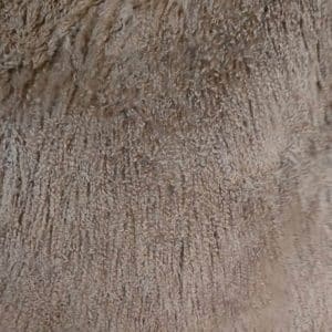 Plaid Tibet Vieux Rose