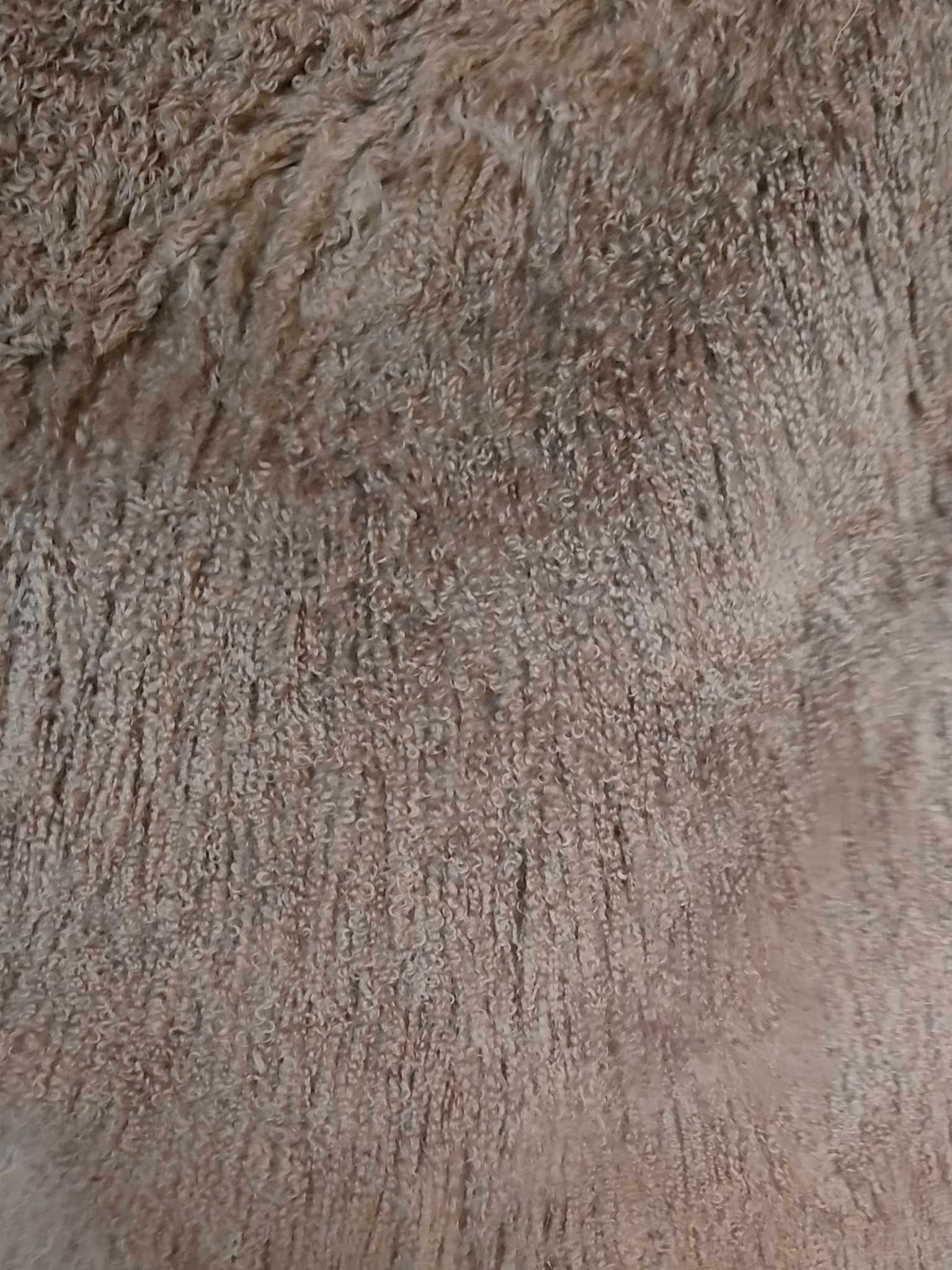 366776178_601677392036962_7309191298585095741_n