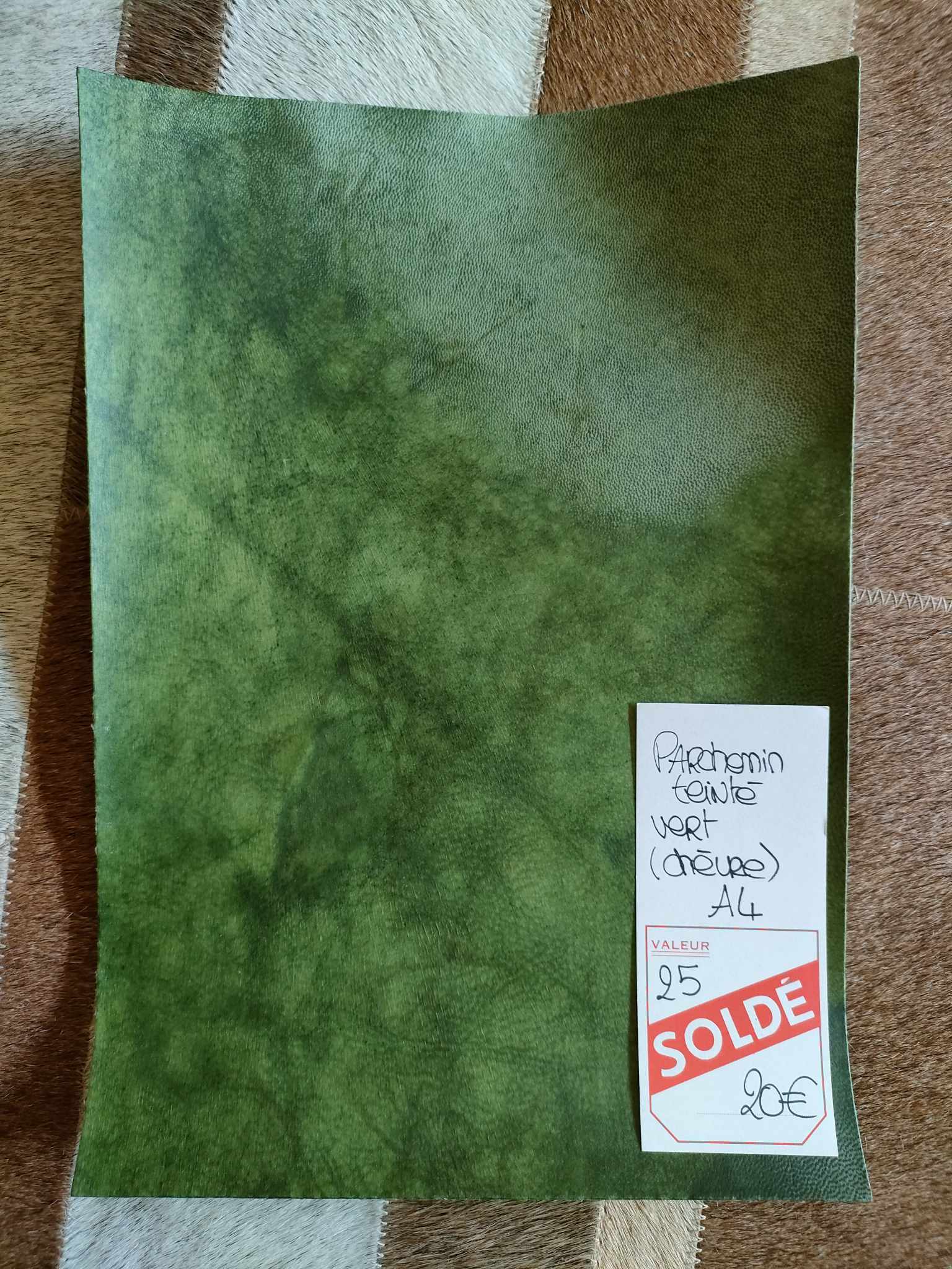 367616747_286518507335958_3976869679192417078_n